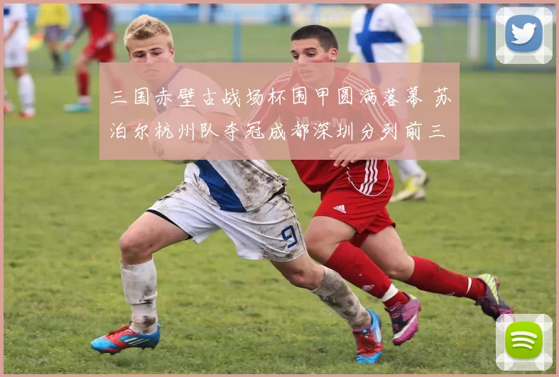 三国赤壁古战场杯围甲圆满落幕 苏泊尔杭州队夺冠成都深圳分列前三