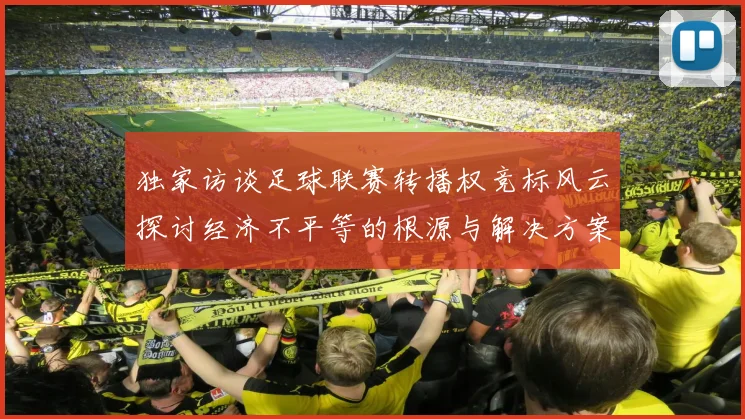 独家访谈足球联赛转播权竞标风云探讨经济不平等的根源与解决方案